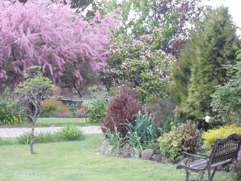 Roslyn House Bed & Breakfast Bushy Park Exterior photo